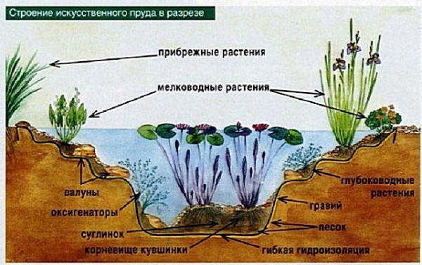 Как сделать пруд на даче: пошаговая инструкция Как сделать пруд на даче: пошаговая инструкция