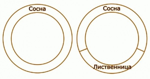  Устройство бани бочки 