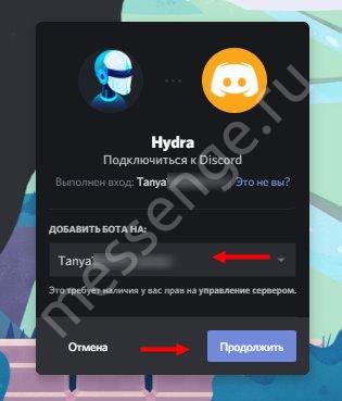 Hydra bot для Discord: обзор функционала