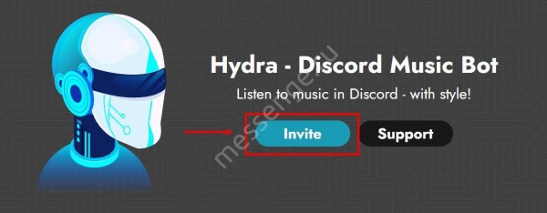 Hydra bot для Discord: обзор функционала