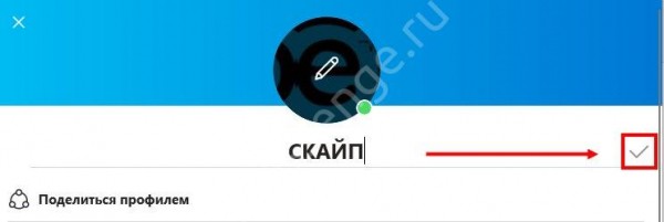 Как изменить логин в Скайпе: подробная инструкция