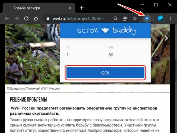  Google Chrome дёргается при прокрутке: улучшаем скроллинг в браузере 