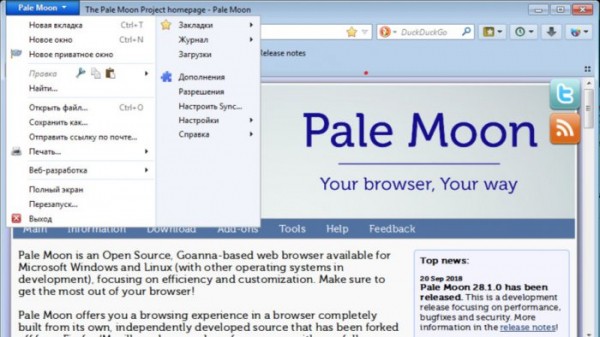 Какой браузер лучше для слабых компьютеров – современный Mozilla Firefox или проект на базе его старого движка Pale Moon Какой браузер лучше для слабых компьютеров – современный Mozilla Firefox или проект на базе его старого движка Pale Moon