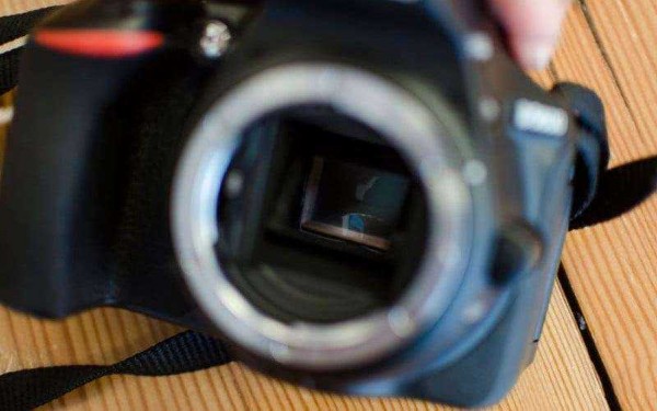 Nikon D5600 &mdash; Обзор компактной зеркальной фотокамеры среднего уровня