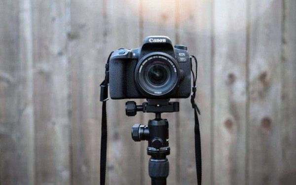 Обзор Canon EOS 77D &mdash; Средний ребёнок, которого вы по-прежнему любите