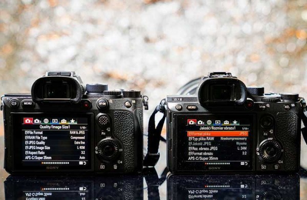 Обзор Sony A7R IV: 61-МП фотокамеры раздвигающей границы Обзор Sony A7R IV: 61-МП фотокамеры раздвигающей границы