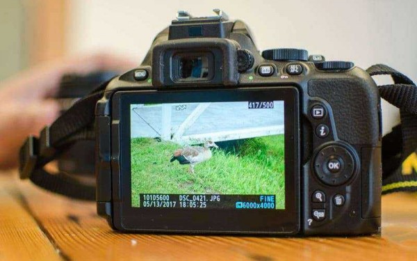 Nikon D5600 &mdash; Обзор компактной зеркальной фотокамеры среднего уровня