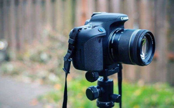 Обзор Canon EOS 77D &mdash; Средний ребёнок, которого вы по-прежнему любите