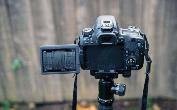 Обзор Canon EOS 77D &mdash; Средний ребёнок, которого вы по-прежнему любите