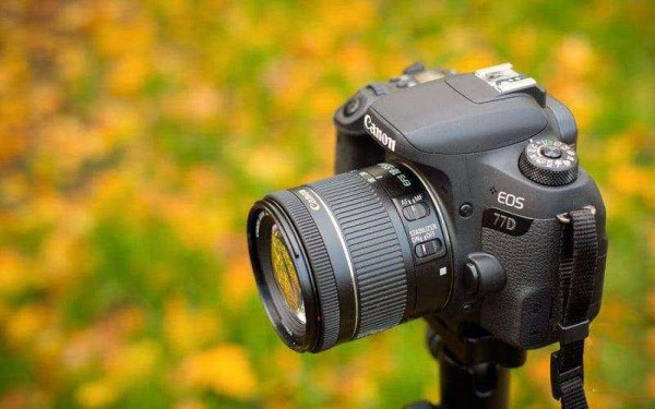 Обзор Canon EOS 77D &mdash; Средний ребёнок, которого вы по-прежнему любите