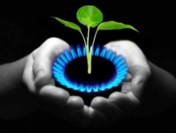 Самостоятельное производство биогаза