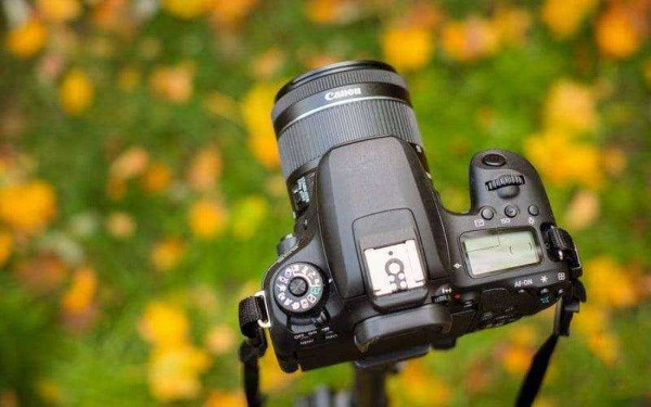 Обзор Canon EOS 77D &mdash; Средний ребёнок, которого вы по-прежнему любите