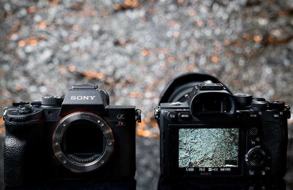 Обзор Sony A7R IV: 61-МП фотокамеры раздвигающей границы Обзор Sony A7R IV: 61-МП фотокамеры раздвигающей границы