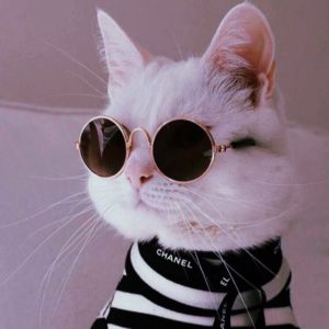 Классные аватарки для Вайбера