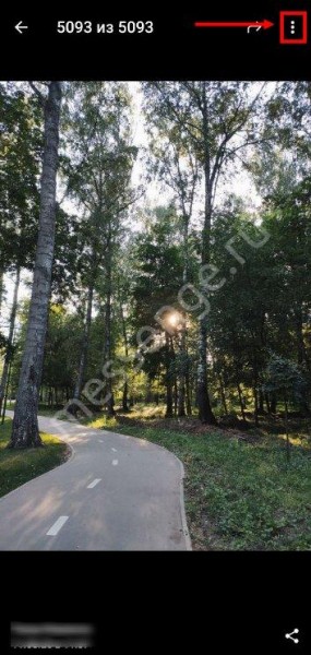 Фото в Телеграмме: как отправить, скачать, сохранить?