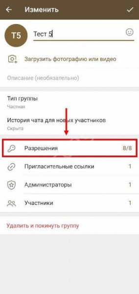 Чем отличается канал от группы в Телеграмме: важные параметры
