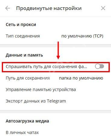 Фото в Телеграмме: как отправить, скачать, сохранить?