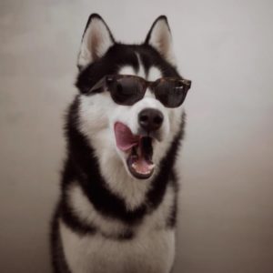 Классные аватарки для Вайбера