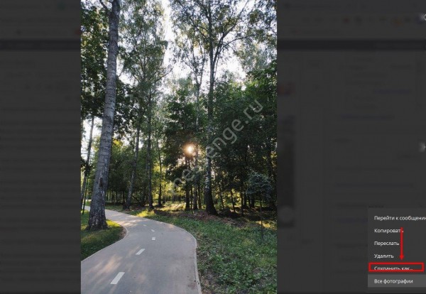 Фото в Телеграмме: как отправить, скачать, сохранить?