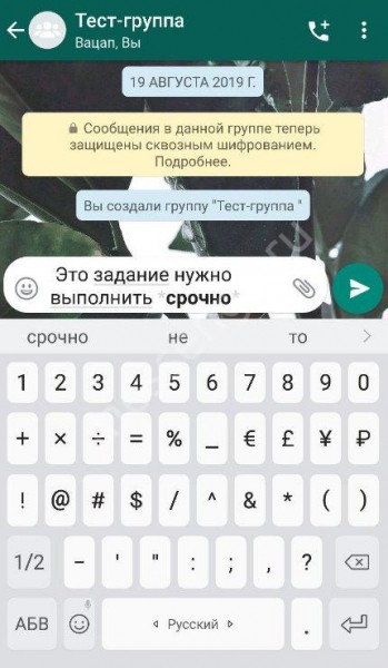 Как в Ватсапе менять шрифт: доступные возможности