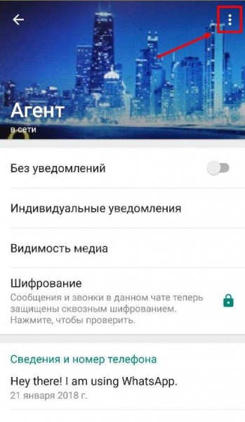Как удалить из Ватсапа контакт: инструкция