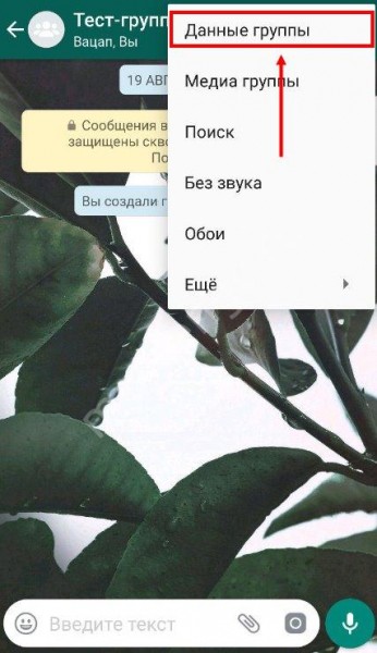 Инструкция: как удалить группу в Ватсапе