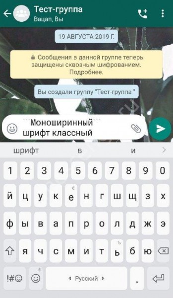 Как в Ватсапе менять шрифт: доступные возможности