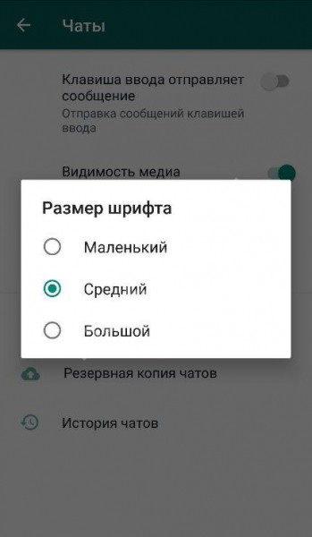 Как в Ватсапе менять шрифт: доступные возможности