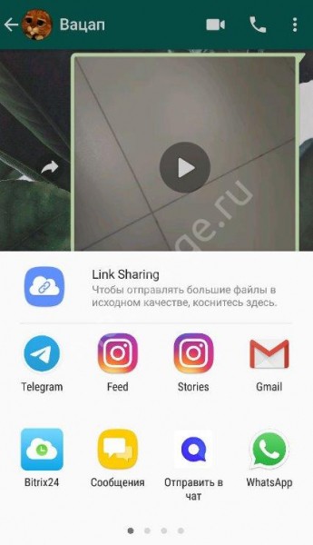 Как скачать видео с Ватсапа на телефоне Андроид или Айфон?