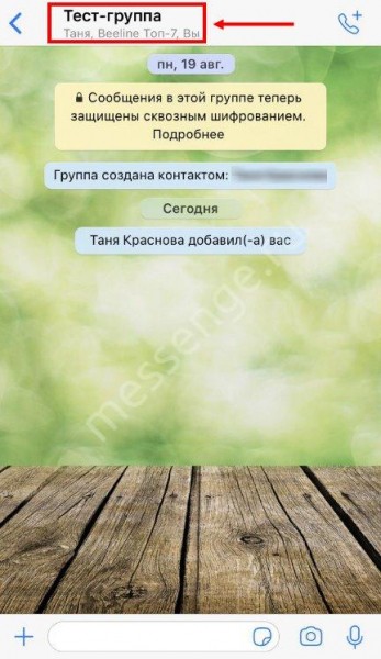 Инструкция: как удалить группу в Ватсапе