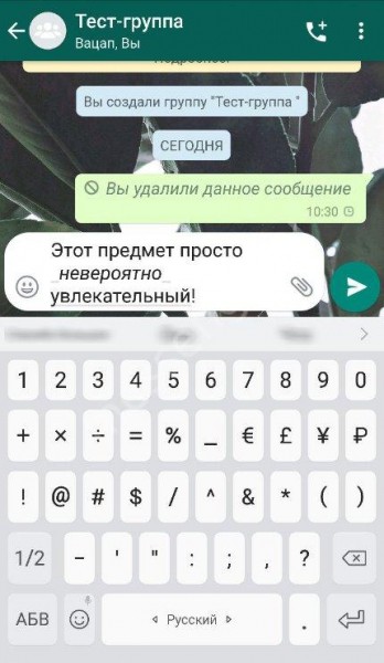 Как в Ватсапе менять шрифт: доступные возможности