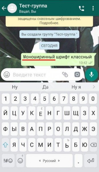 Как в Ватсапе менять шрифт: доступные возможности