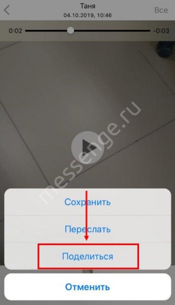 Как скачать видео с Ватсапа на телефоне Андроид или Айфон?
