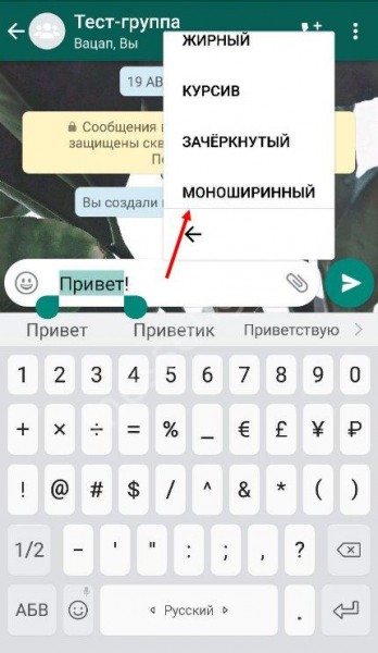 Как в Ватсапе менять шрифт: доступные возможности