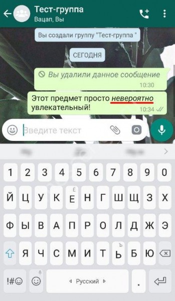 Как в Ватсапе менять шрифт: доступные возможности
