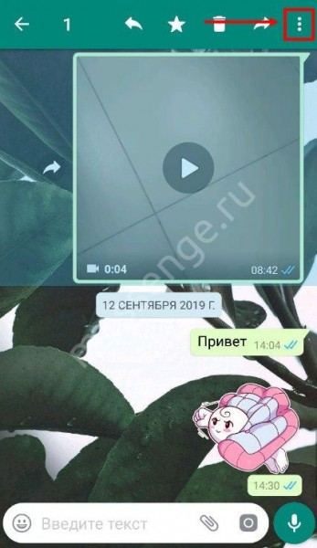 Как скачать видео с Ватсапа на телефоне Андроид или Айфон?