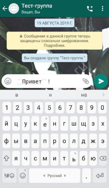 Как в Ватсапе менять шрифт: доступные возможности