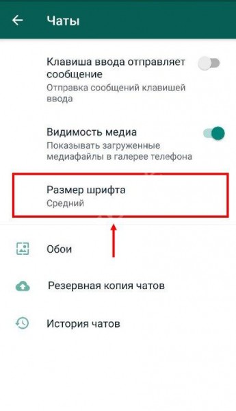 Как в Ватсапе менять шрифт: доступные возможности