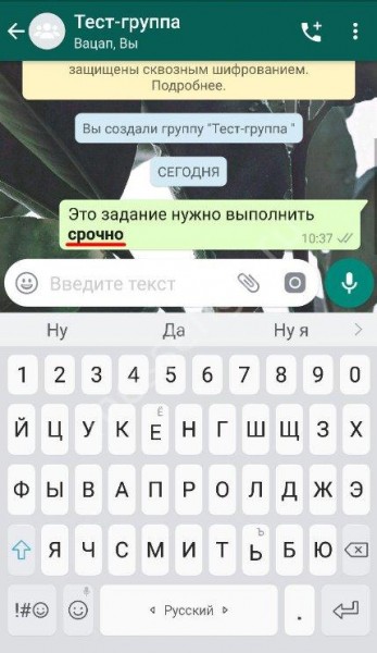 Как в Ватсапе менять шрифт: доступные возможности