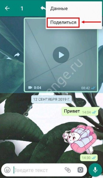 Как скачать видео с Ватсапа на телефоне Андроид или Айфон?