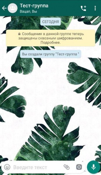 Как в Ватсапе пригласить в группу и создать ее