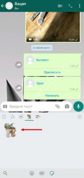Как сделать стикер для WhatsApp самостоятельно?