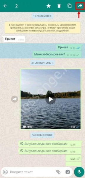Все способы переадресации Ватсап - невозможное возможно? 