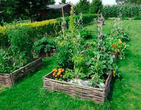 Высокие грядки своими руками фото