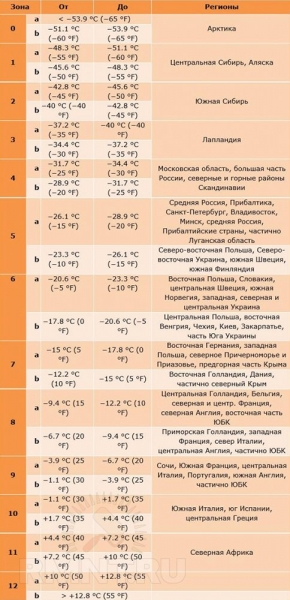 





Какие растения можно посадить зимой



