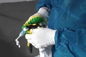 Пена для утепления стен: современный подход к утеплению или канцерогены которыми мы дышим, разбираемся в нюансах Пена для утепления стен: современный подход к утеплению или канцерогены которыми мы дышим, разбираемся в нюансах