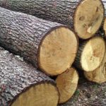 Как выбрать древесину для постройки дома: какую лучше выбрать породу