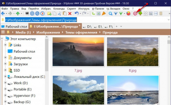  XYplorer &ndash; гибрид проводника Windows и Total Commander 