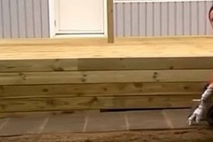 Веранда пристроенная к дому: делаем своими руками с пошаговой фото инструкцией Веранда пристроенная к дому: делаем своими руками с пошаговой фото инструкцией