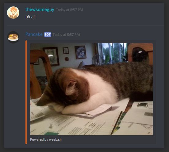 Pancake Bot для Discord: зачем нужен и как пользоваться 